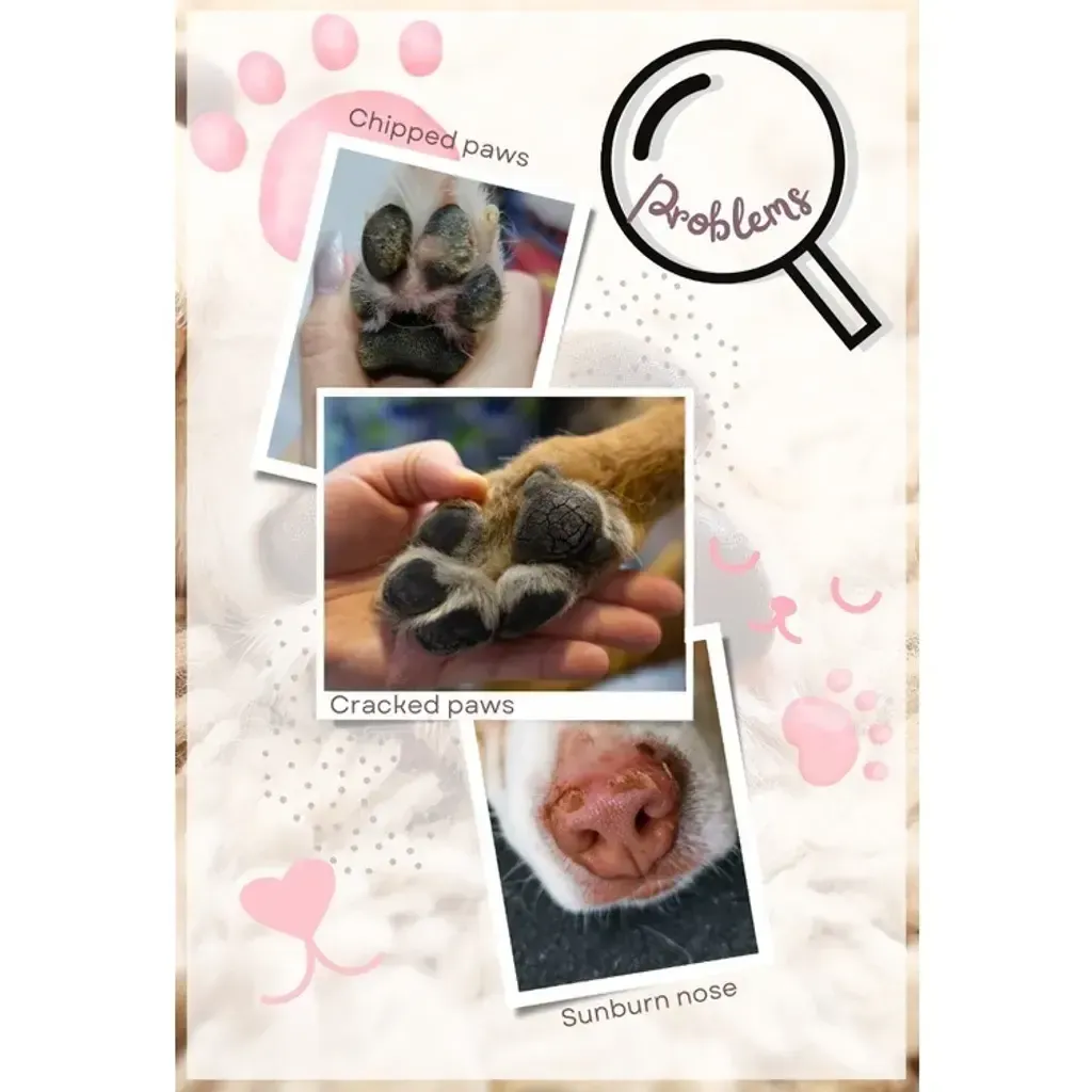 Paw & Nose Balm 6