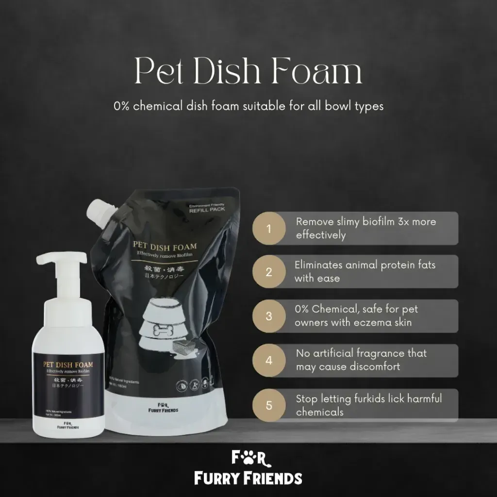 Pet Dish Foam 2