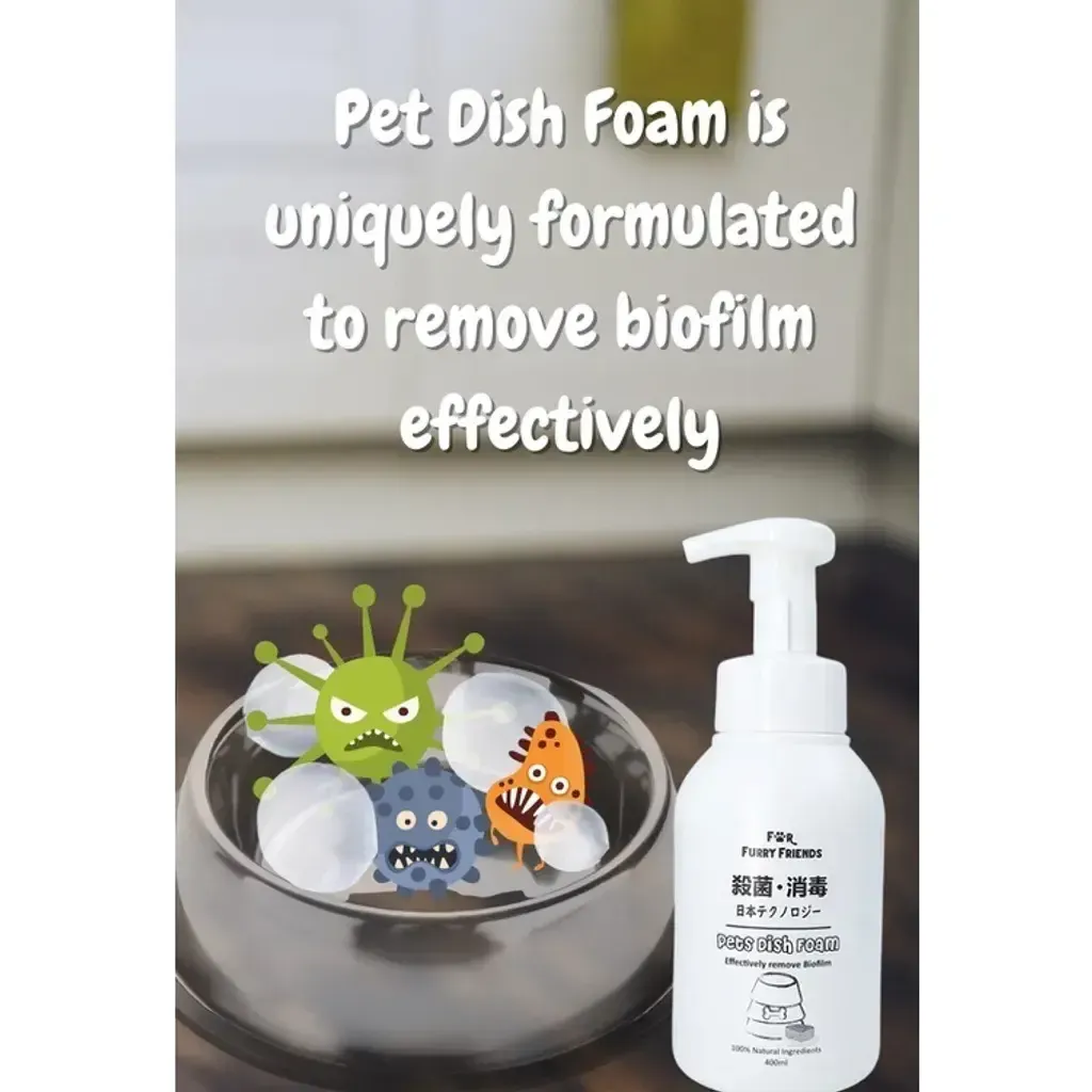 Pet Dish Foam 3
