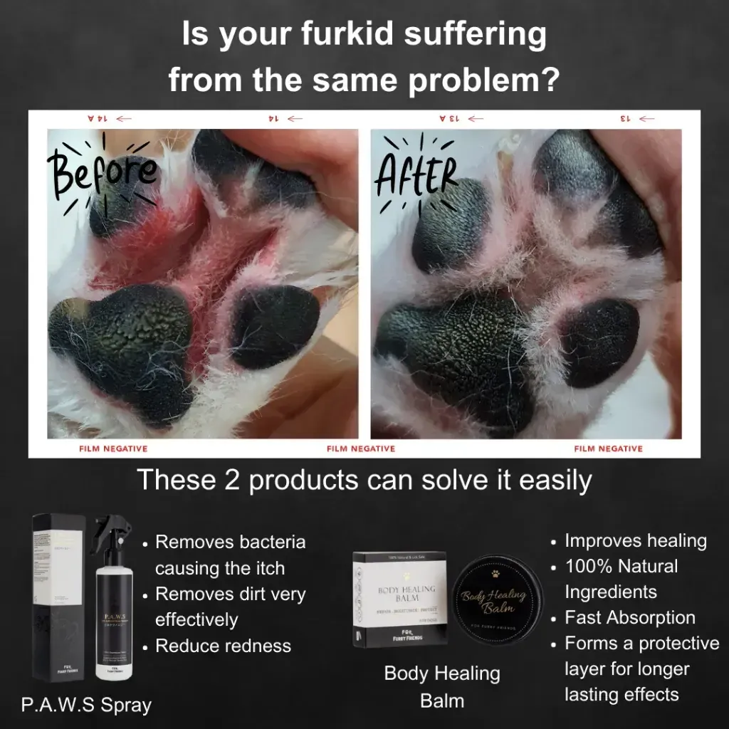 Pet's Activated Water Sanitizer 3