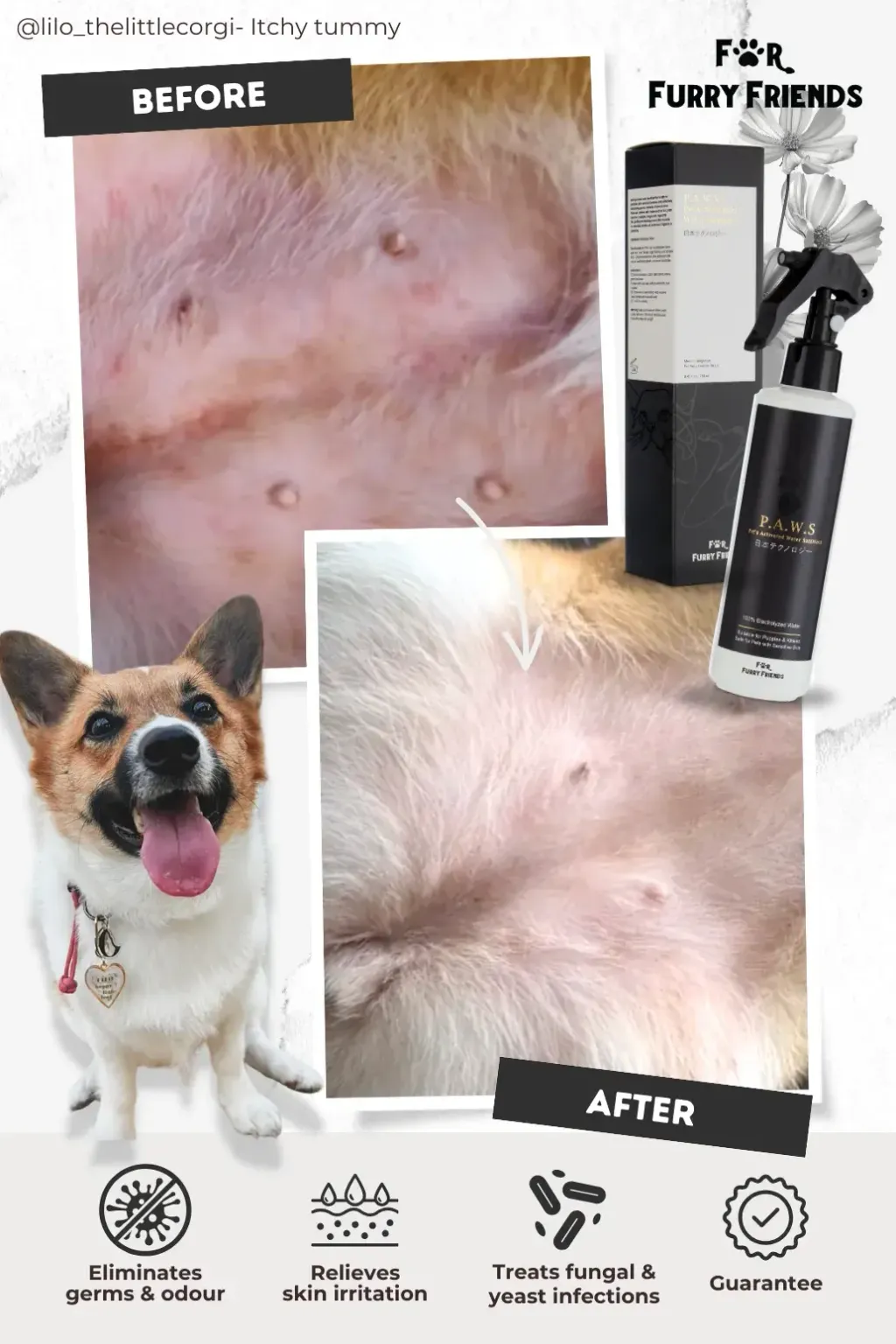 Pet's Activated Water Sanitizer 5