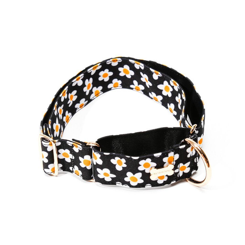 NORADOG Collar