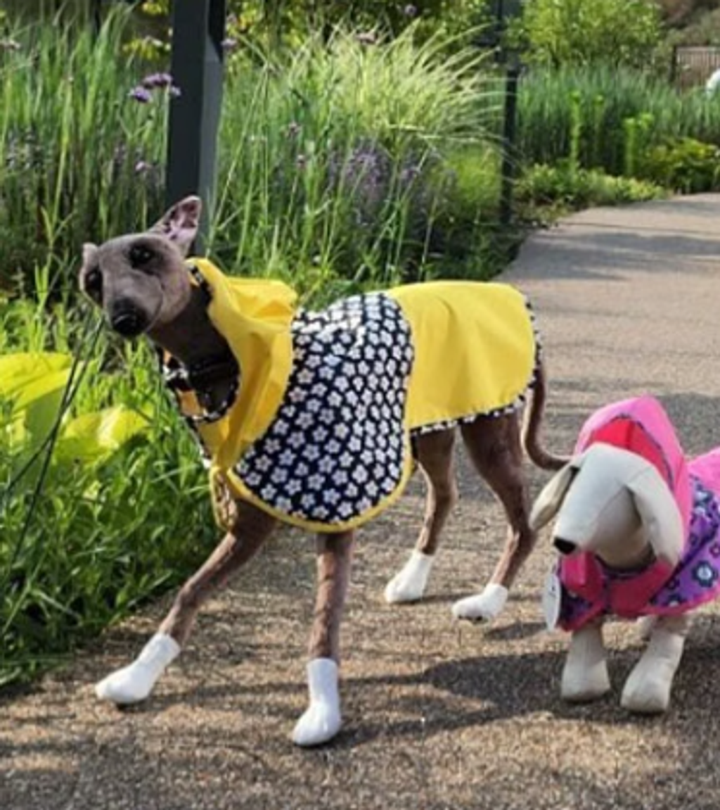 螢幕擷取畫面 2025-10-02 191527