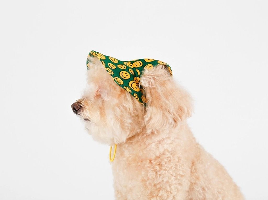 Charlie Smile hat model 2