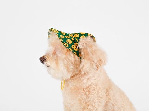 Charlie Smile hat model 2