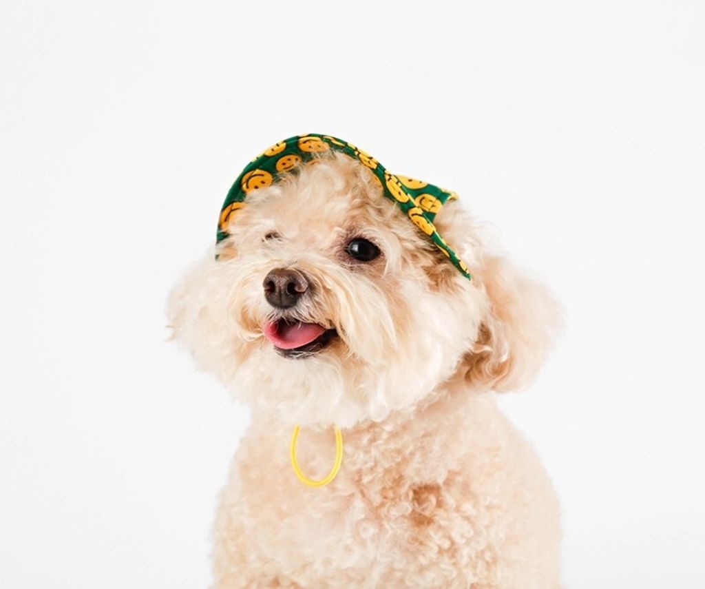 Charlie Smile hat model