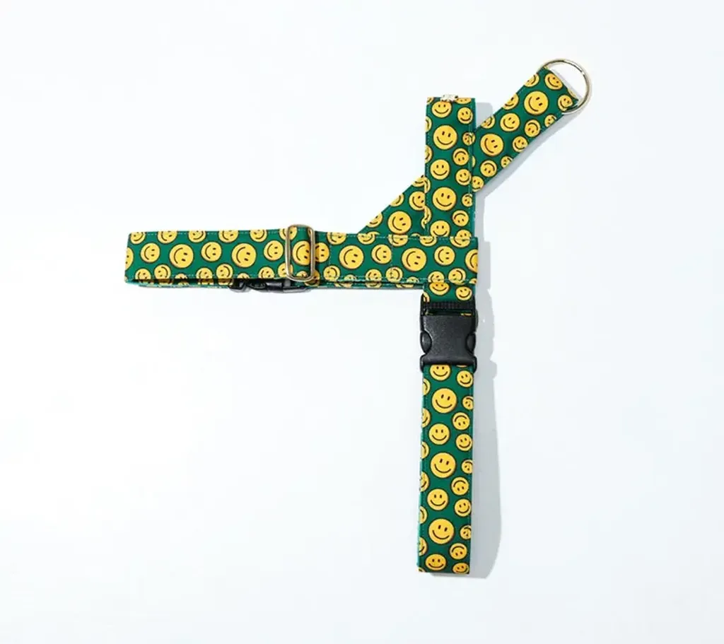charlie smile Easy Harness