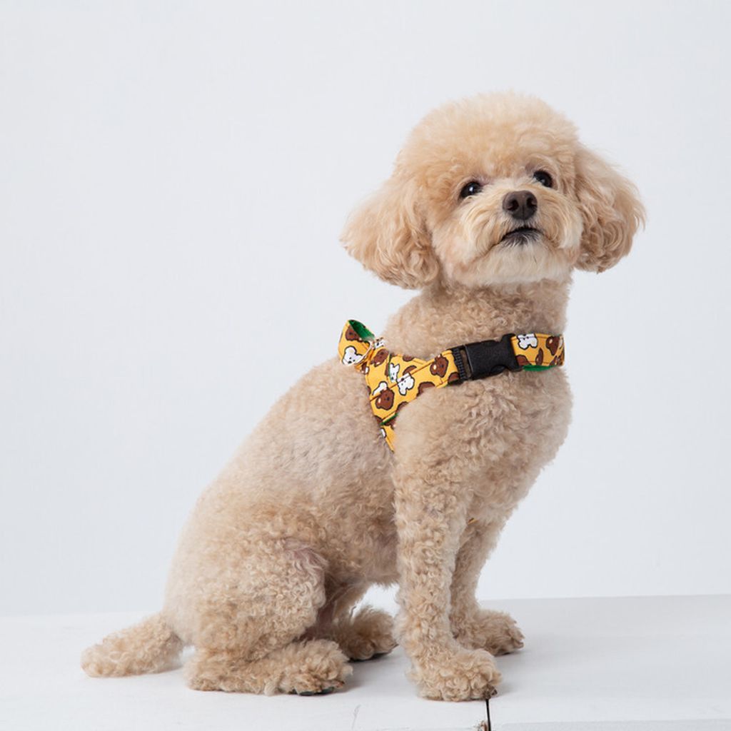 bobochuchu Easy Harness model