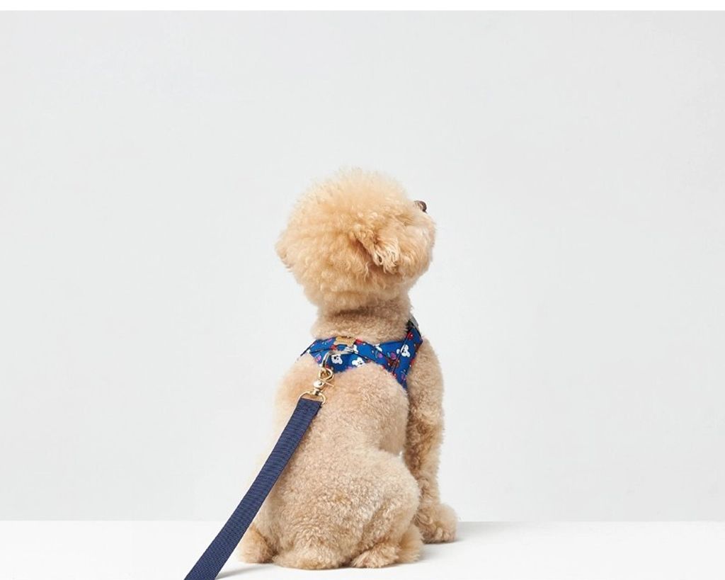 Easy Harness model 2