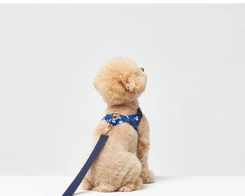 Easy Harness model 2