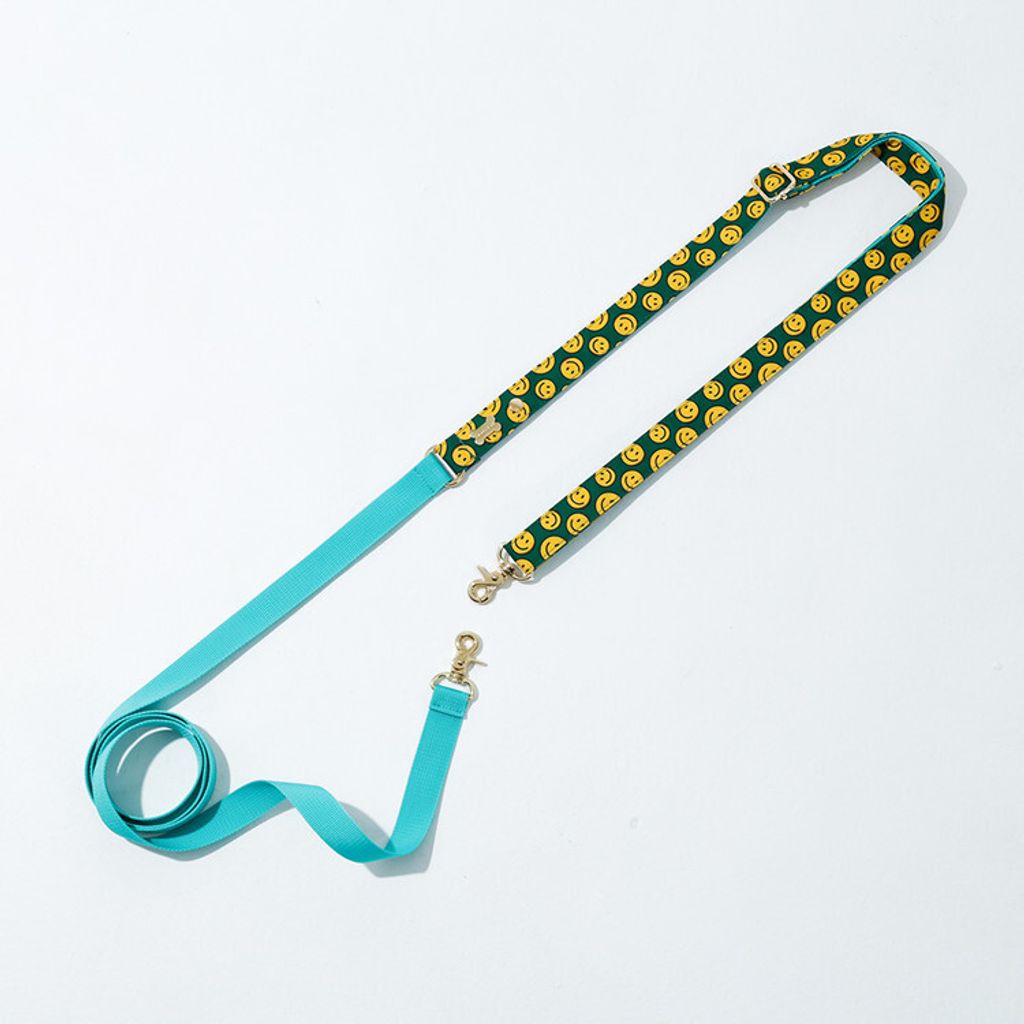 Long Leash (Under 7kg) charlie smile mint