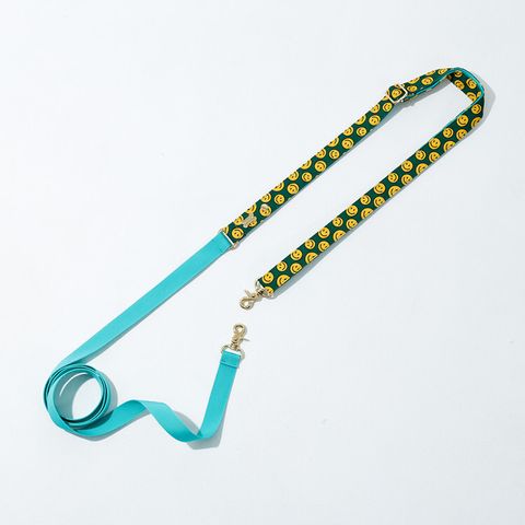 Long Leash (Under 7kg) charlie smile mint