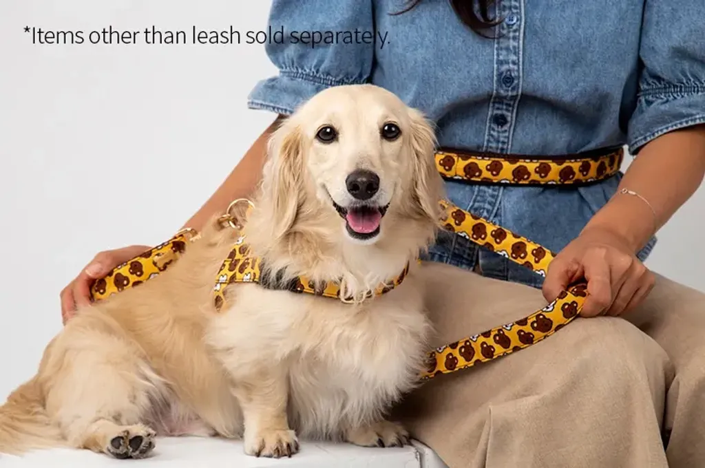 Belt Leash (Under 7kg) model
