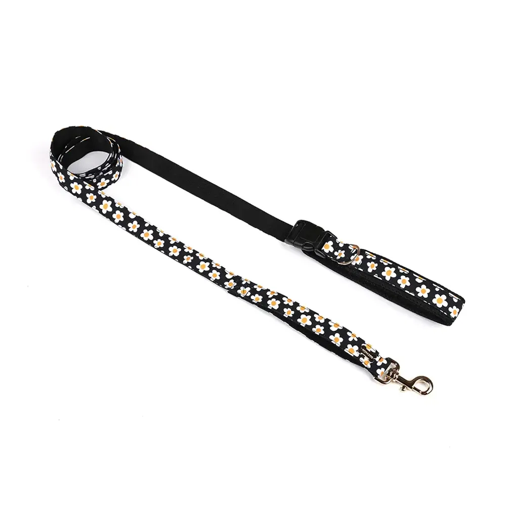 Belt Leash (Above 7kg) daisy black 2m