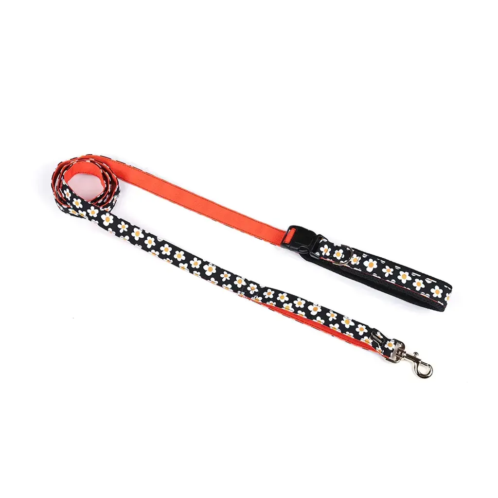 Belt Leash (Above 7kg) daisy orange 2m
