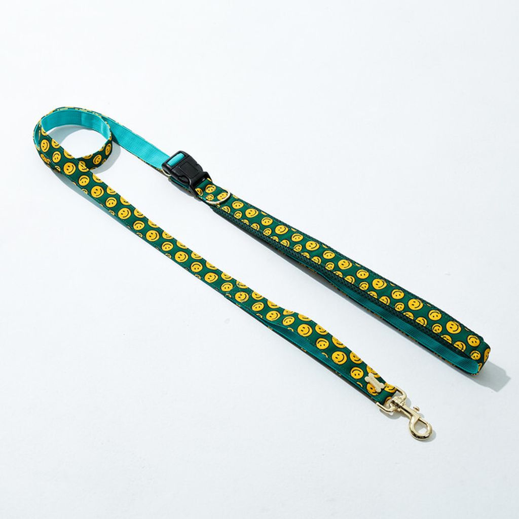 Belt Leash (Above 7kg) charlie smile mint 2m
