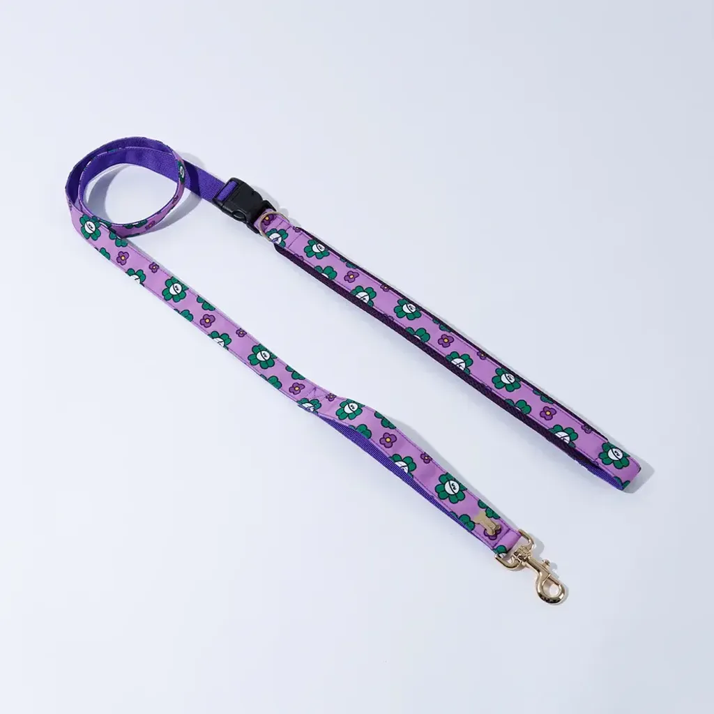 Belt Leash (Above 7kg) mr clover puplr 2m