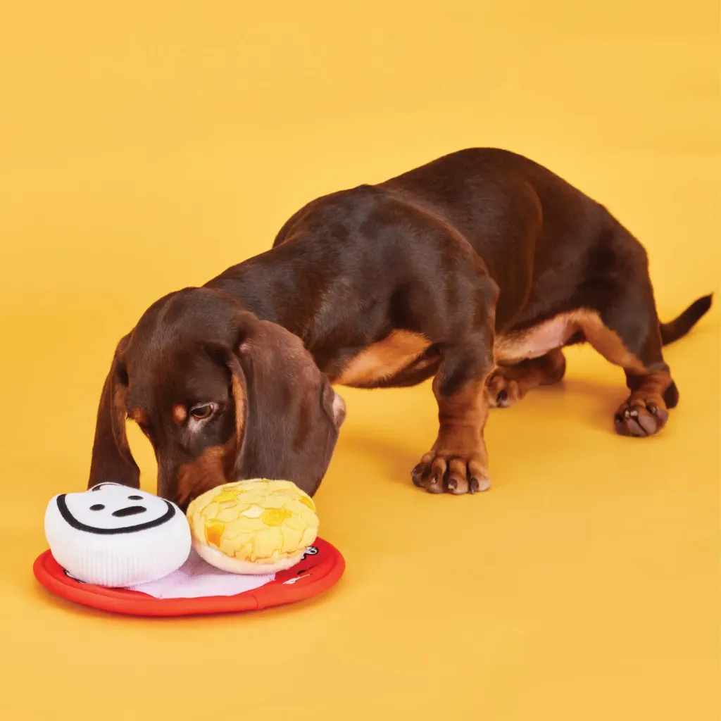 WhatsApp-Image-2025-09-26-at-17-00-52-(1)_2960x