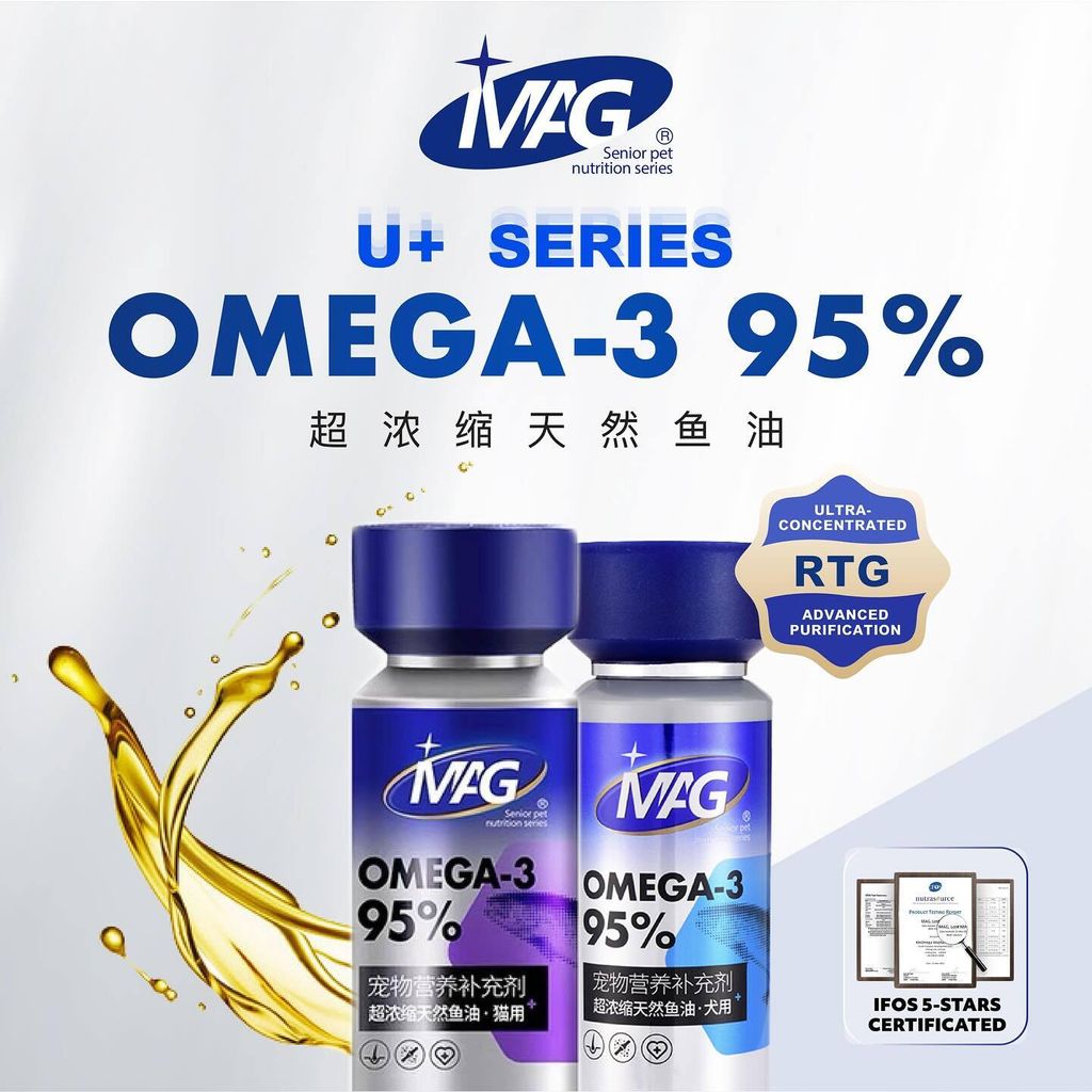 SnapInsta.to_486663073_17867229264348555_7937040051646113407_n