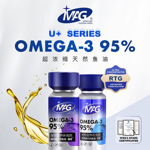 SnapInsta.to_486663073_17867229264348555_7937040051646113407_n