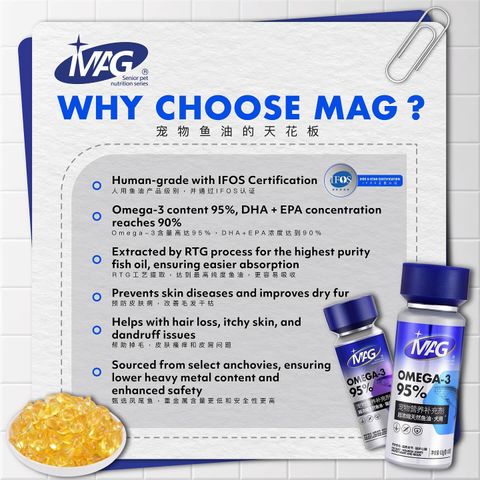 SnapInsta.to_486525773_17867229273348555_2961375801662461419_n