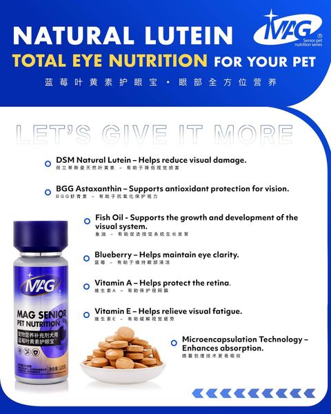 SnapInsta.to_561920480_17892579399348555_5305567163071008192_n