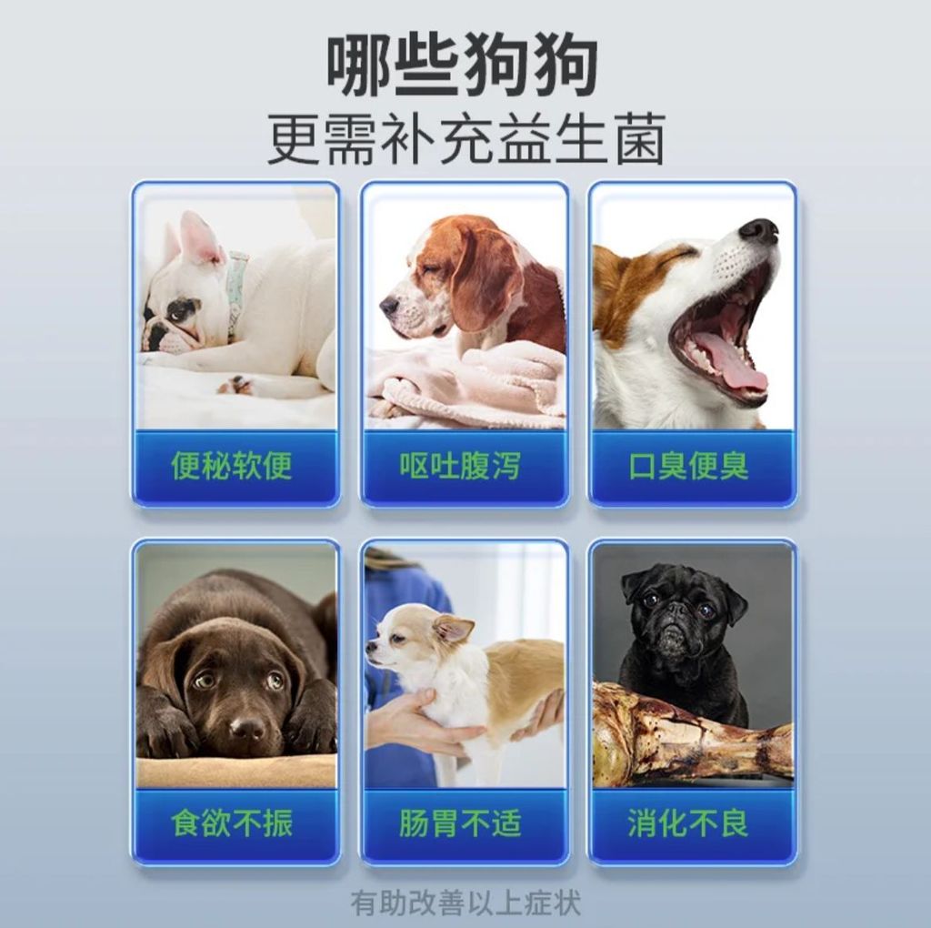 WhatsApp Image 2025-10-20 at 3.54.16 PM (2)