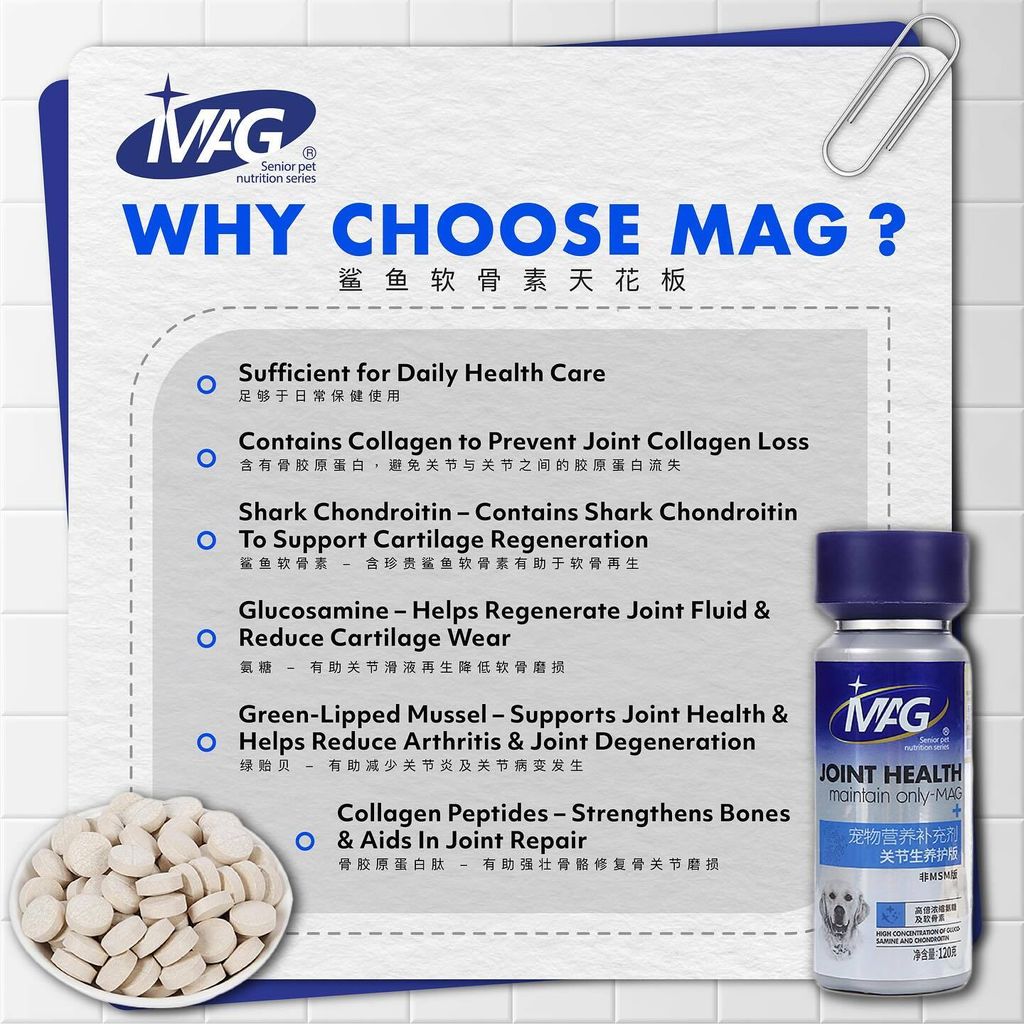 SnapInsta.to_489421768_17869449150348555_488651635419379375_n