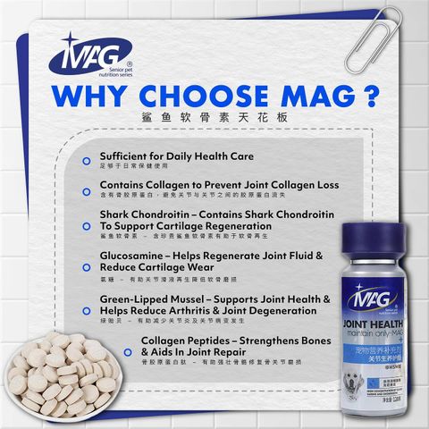 SnapInsta.to_489421768_17869449150348555_488651635419379375_n