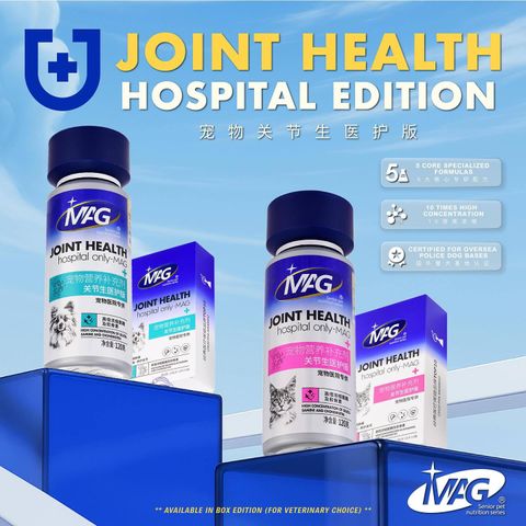 SnapInsta.to_488830716_17869309719348555_2628929170026717345_n