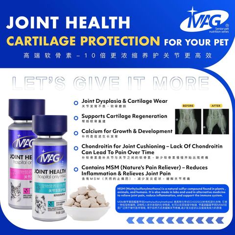 SnapInsta.to_488516460_17869309728348555_7285512794882323771_n