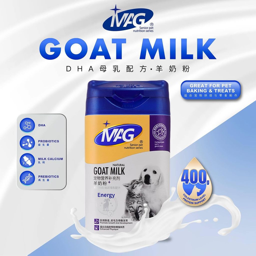 SnapInsta.to_495467100_17872425534348555_8070375672068881656_n