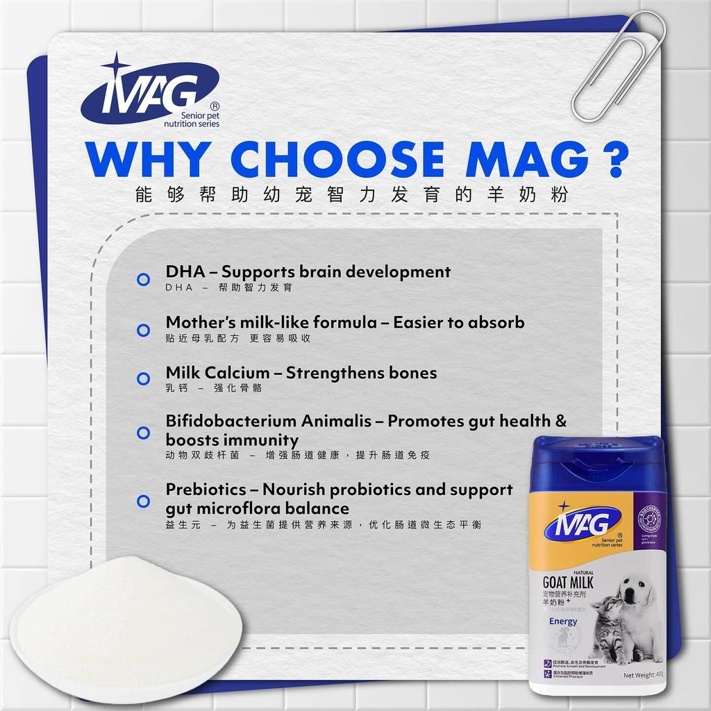 SnapInsta.to_495362123_17872425543348555_9050454519645517176_n