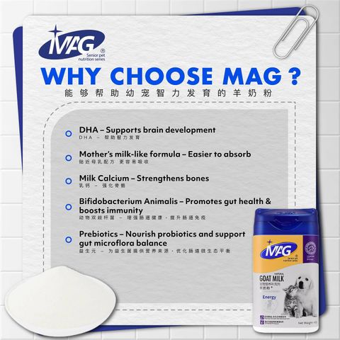 SnapInsta.to_495362123_17872425543348555_9050454519645517176_n