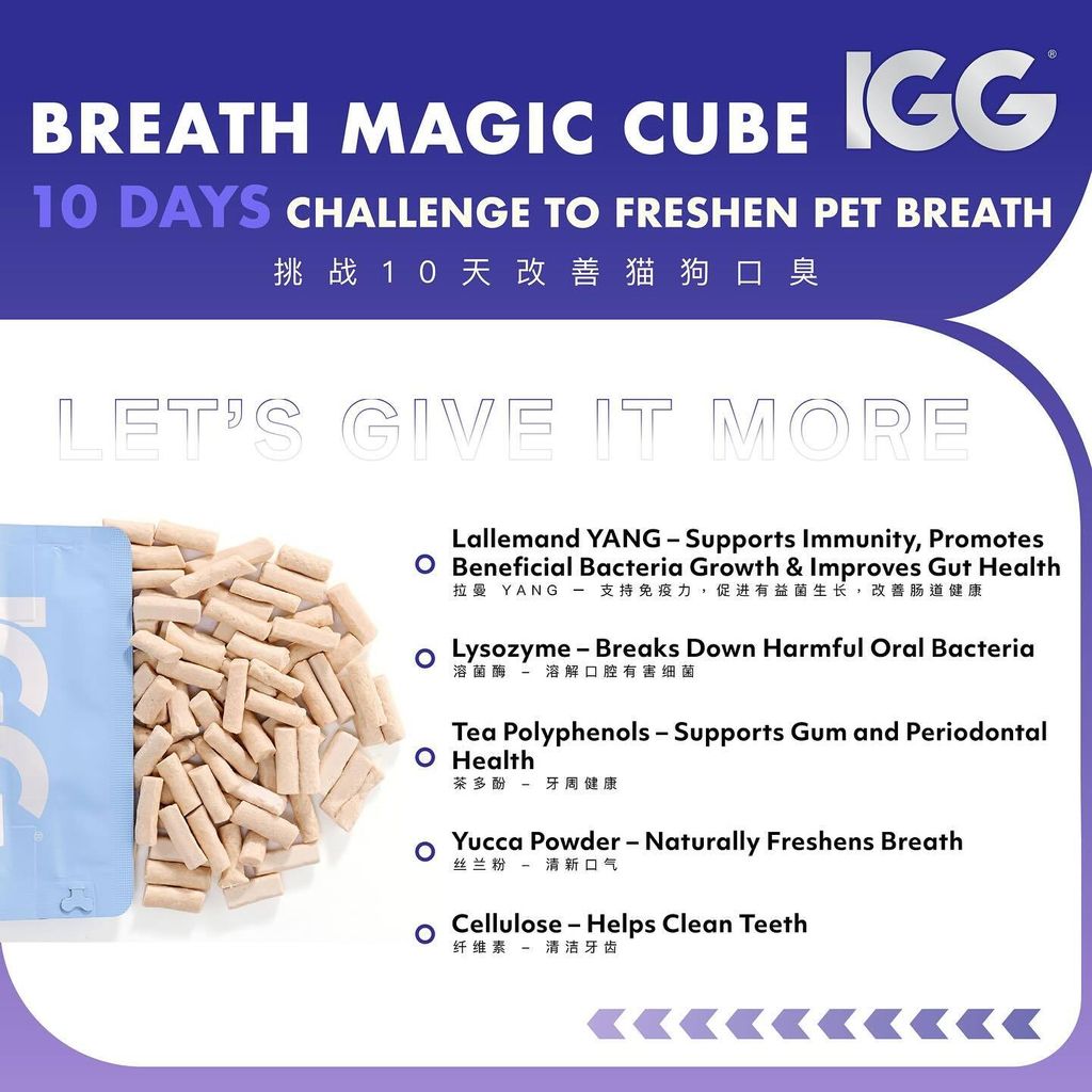 SnapInsta.to_487775352_17869181151348555_528743620304437289_n