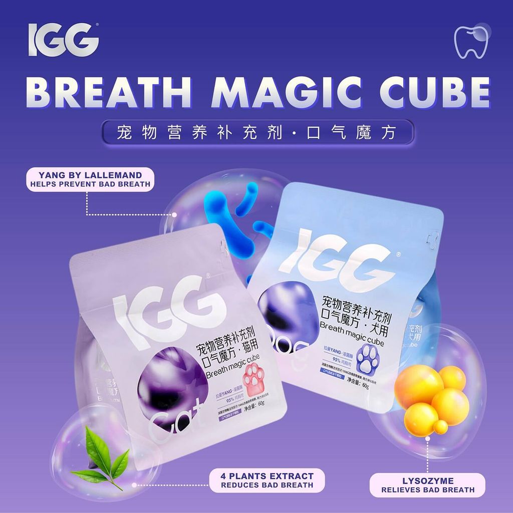 SnapInsta.to_489014867_17869181142348555_1090677828341331158_n