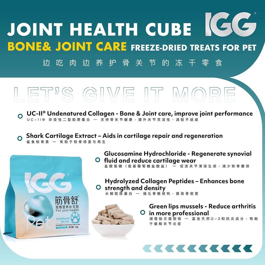 SnapInsta.to_505442511_17877528606348555_1825877110945715179_n