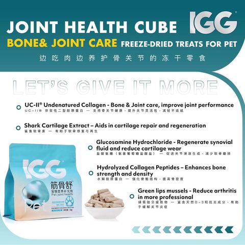 SnapInsta.to_505442511_17877528606348555_1825877110945715179_n