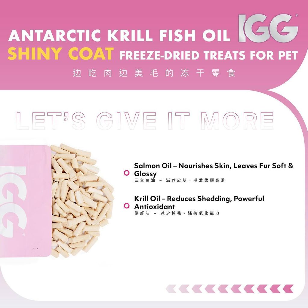 SnapInsta.to_500200743_17874864831348555_3935056157851145957_n