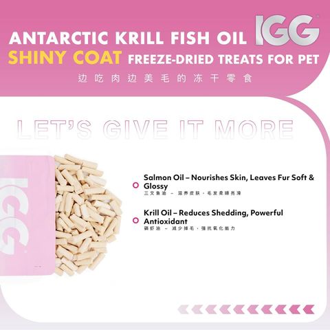 SnapInsta.to_500200743_17874864831348555_3935056157851145957_n