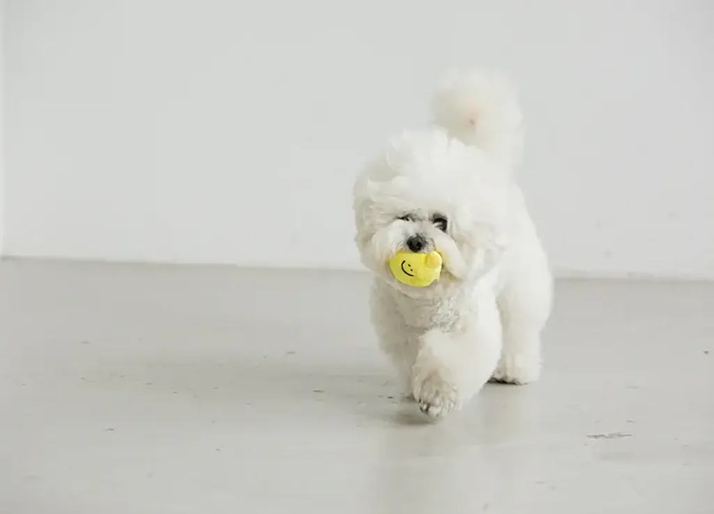 Bite Me - Second Morning Lemonade 3