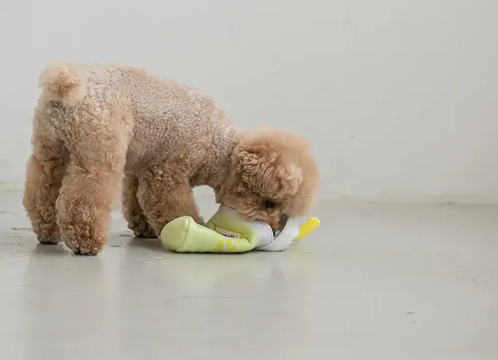 Bite Me - Second Morning Lemonade 4