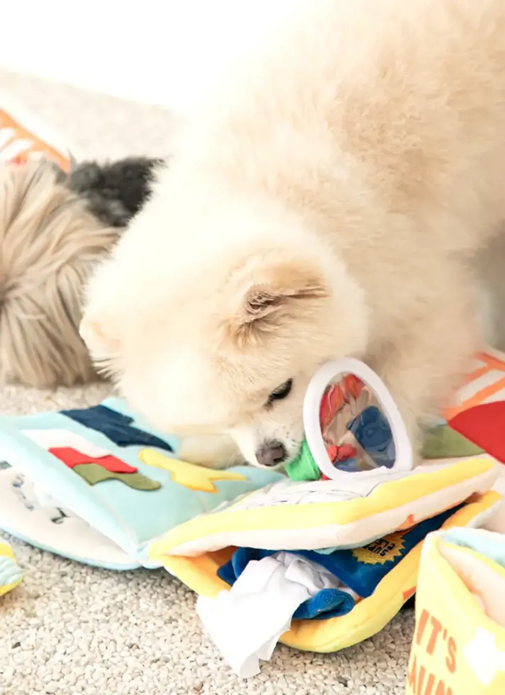 Bite Me - It's Laundry Day Play Book 11