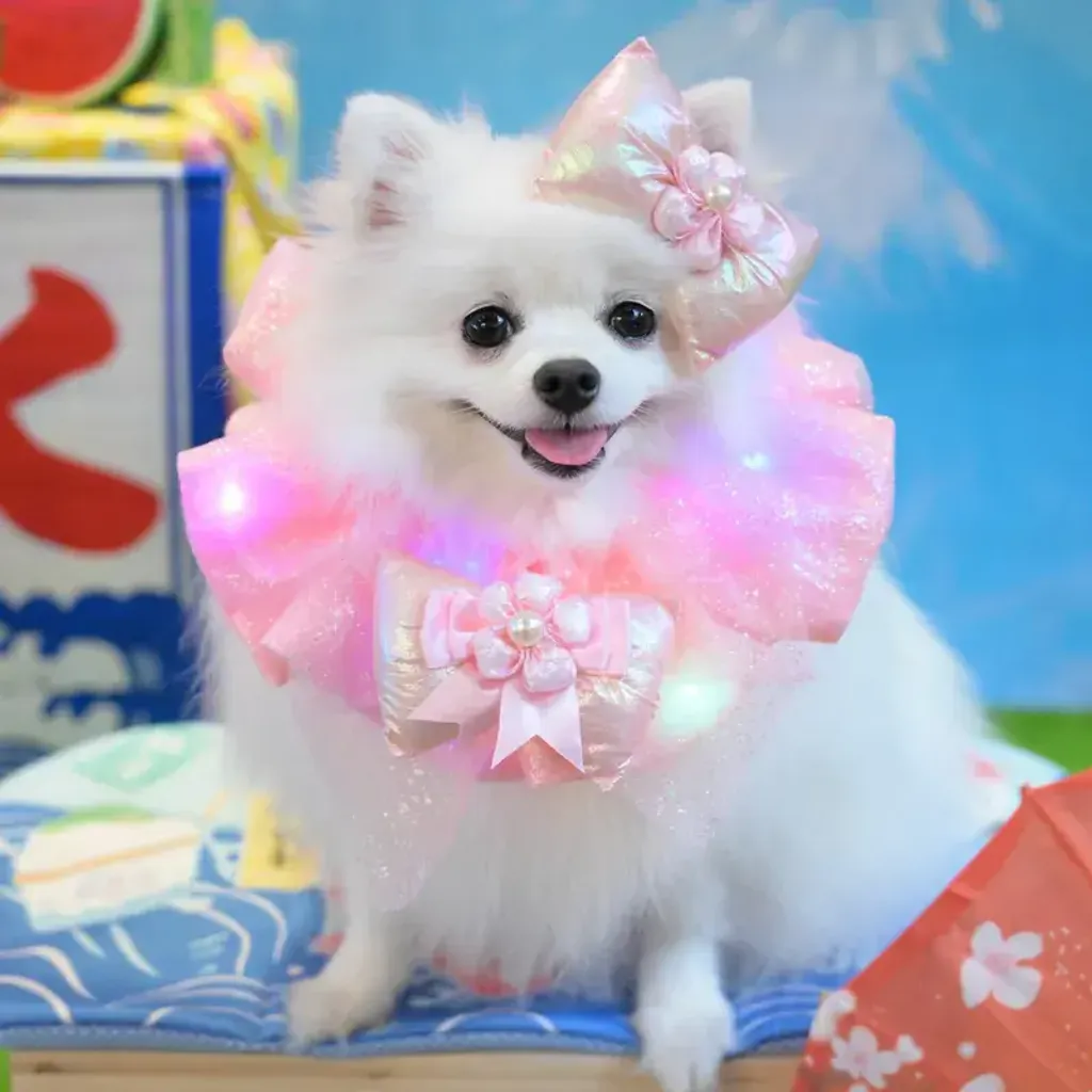 閃燈泡泡花花巾 4