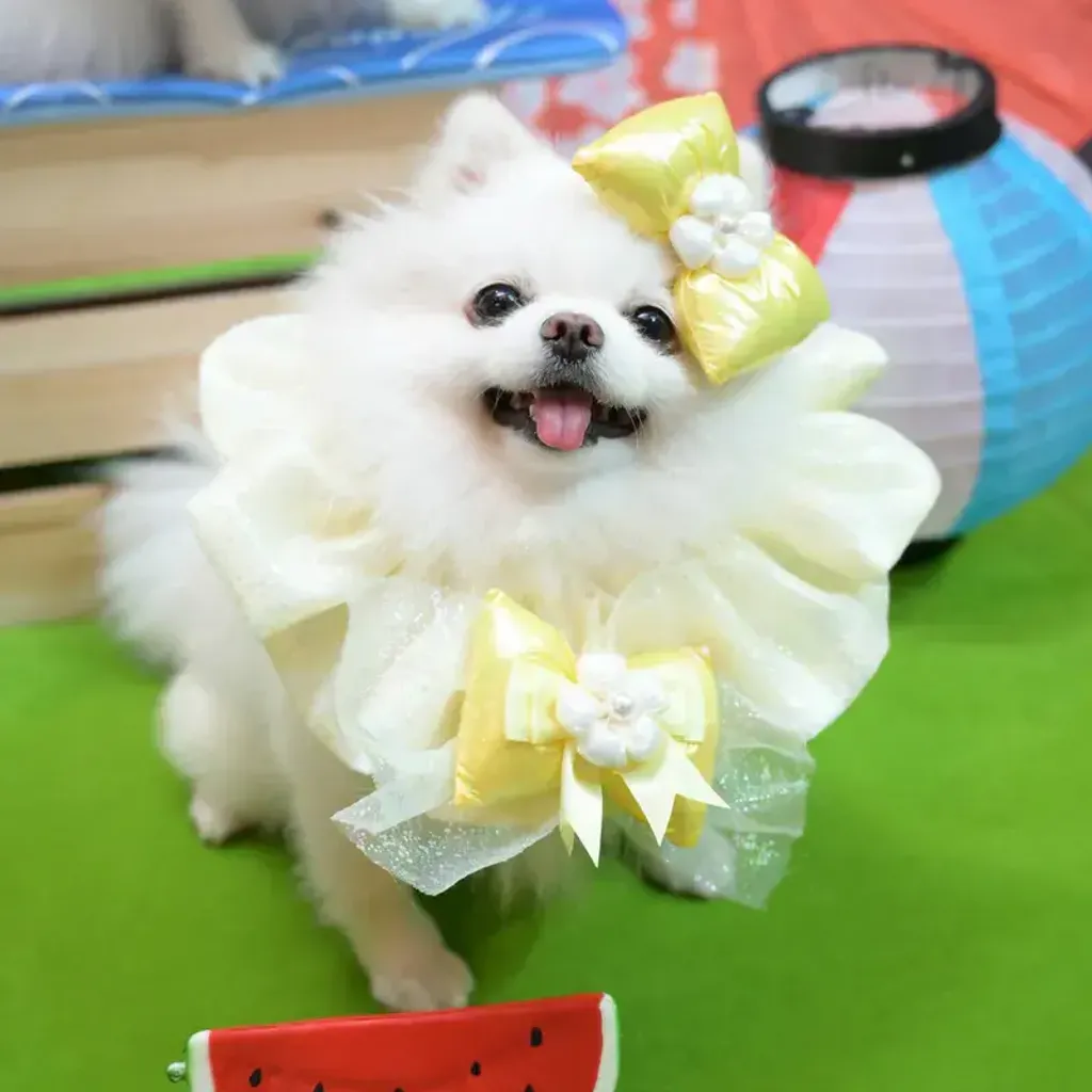 閃燈泡泡花花巾 2