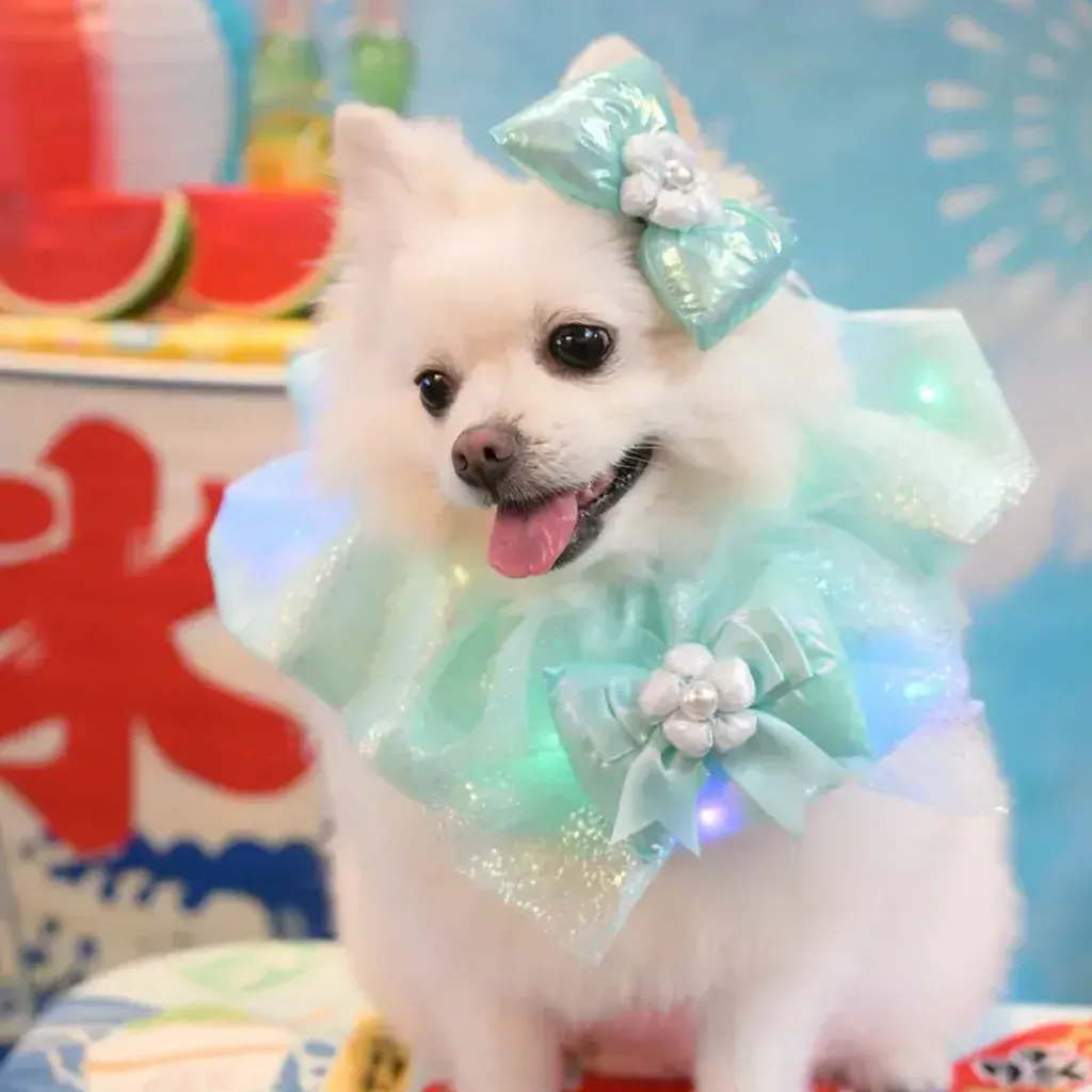 閃燈泡泡花花巾 3