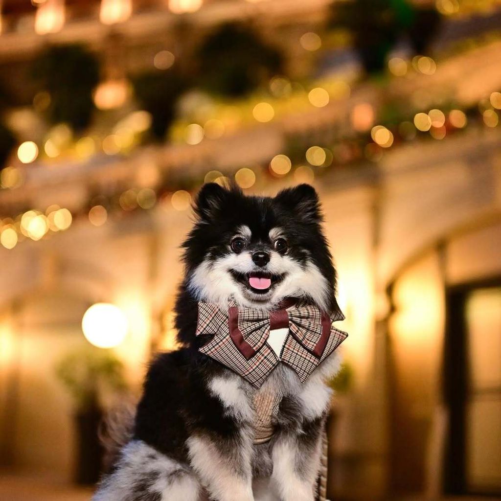 SnapInsta.to_470071627_18009473456690440_2313533089305945443_n