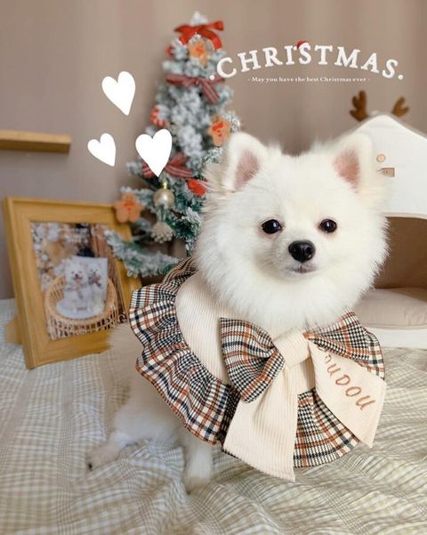 SnapInsta.to_315026667_1170045223916609_5175461998361459263_n