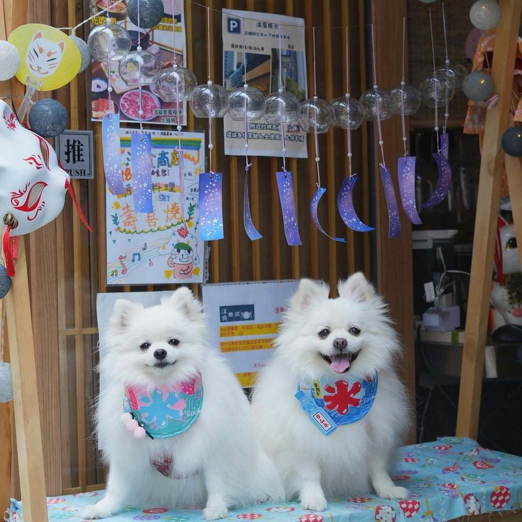 SnapInsta.to_470222816_18009777131690440_1880485534764870381_n