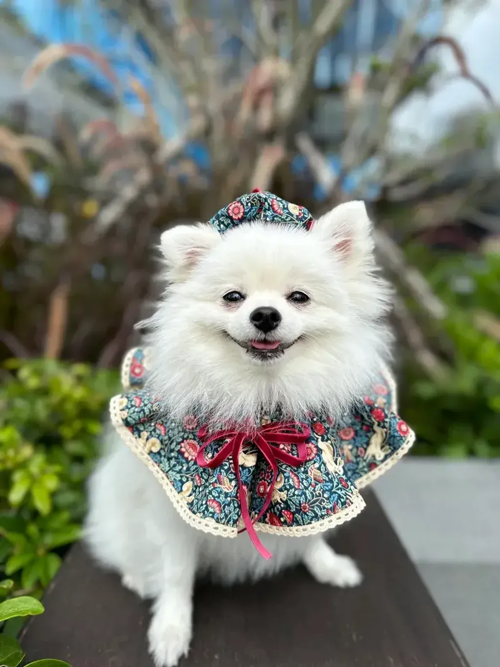 復古松鼠印花圓枱圍巾